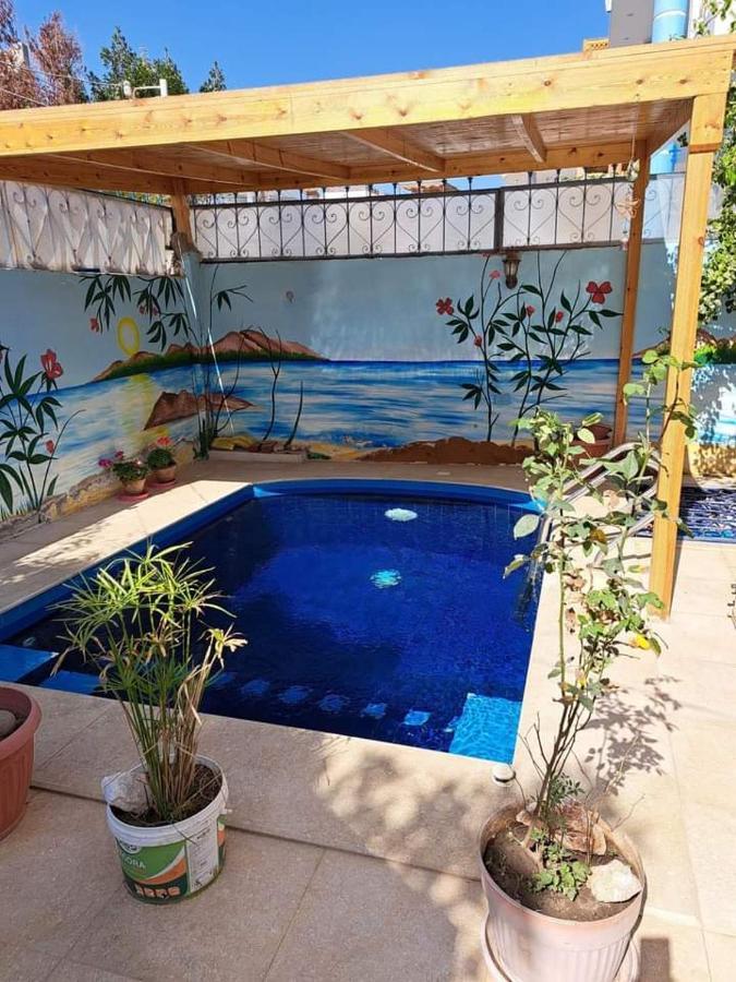 Villa Louise Guest House Luxor Exterior foto